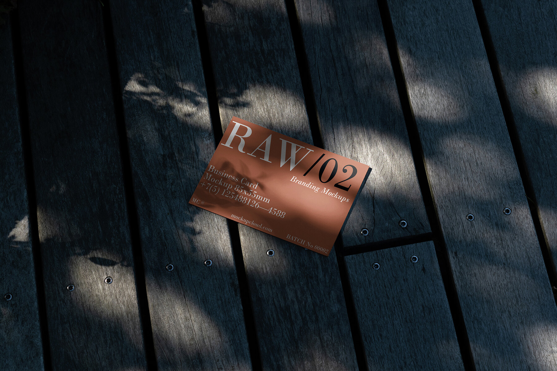 Business Cards Mockups RAW Series 2 8