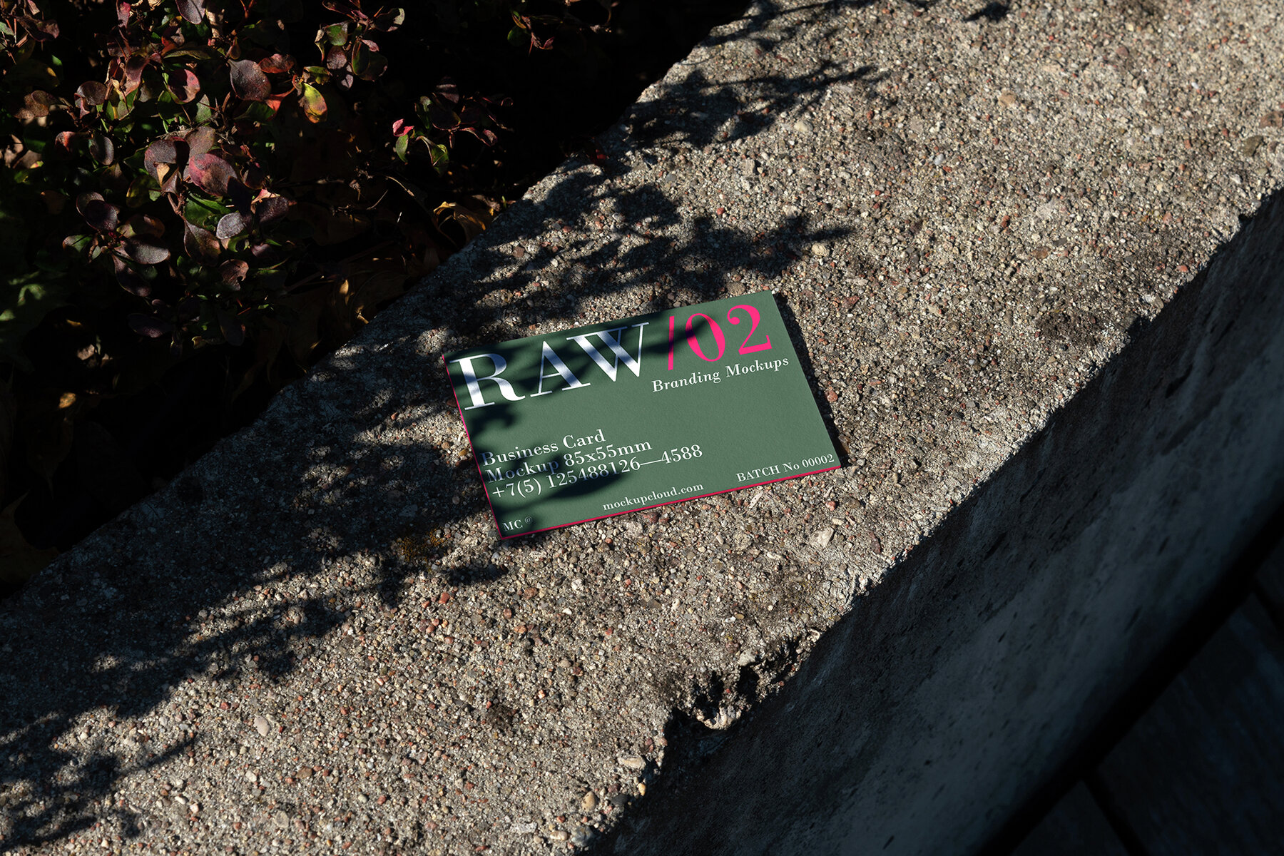 Business Cards Mockups RAW Series 2 11