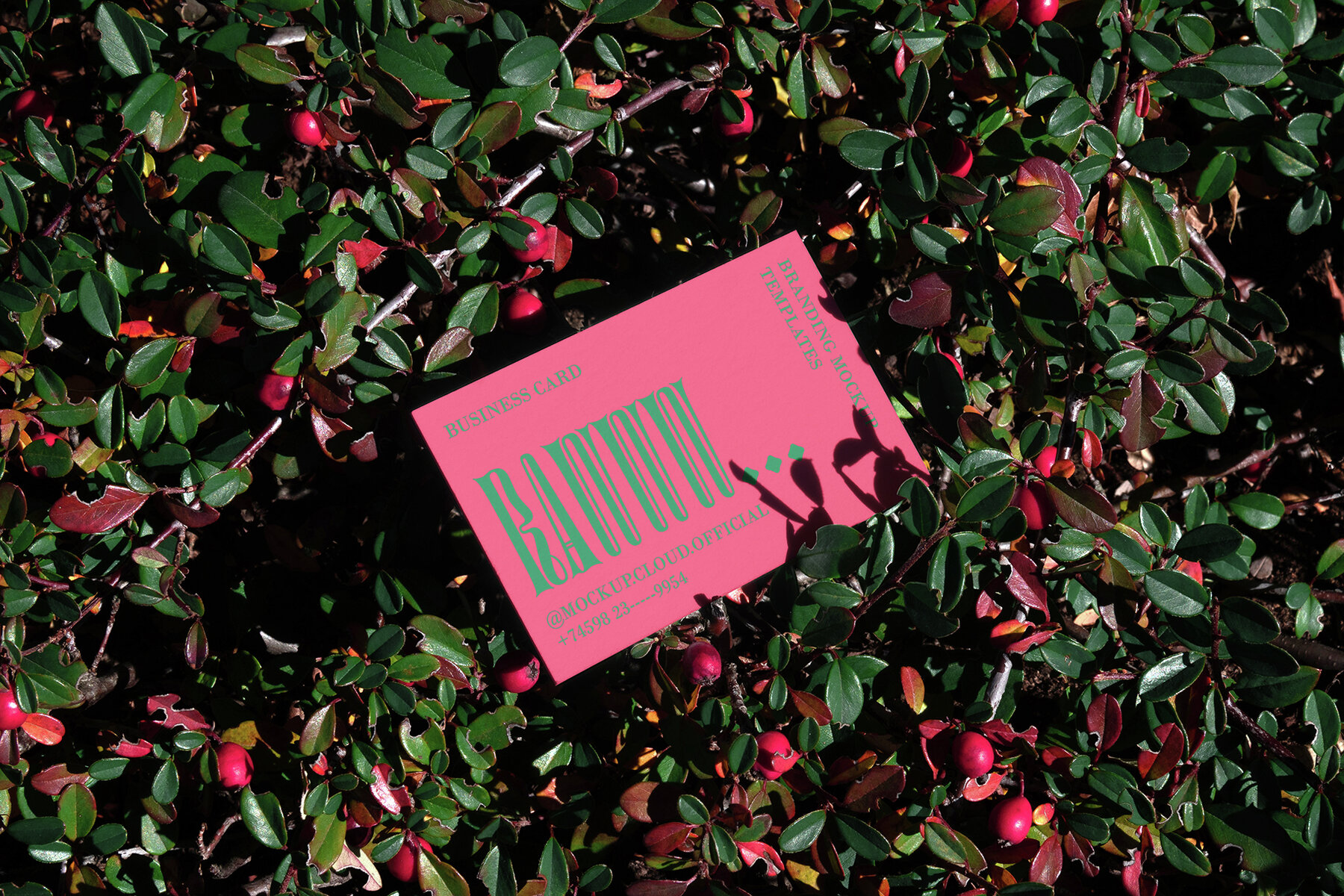 Business Cards Mockups RAW Series 2 12