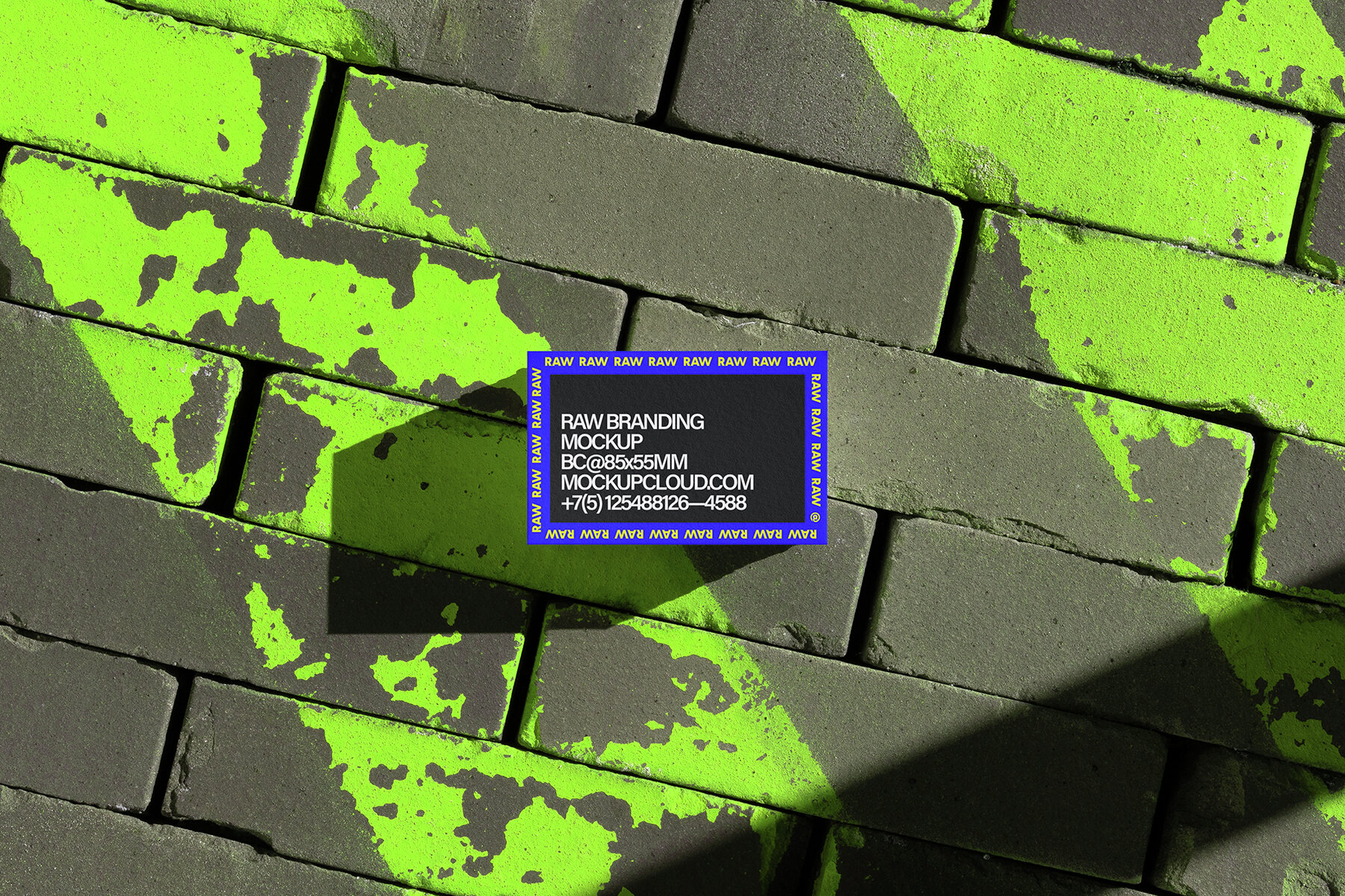 Business Cards Mockups RAW Series 2 13