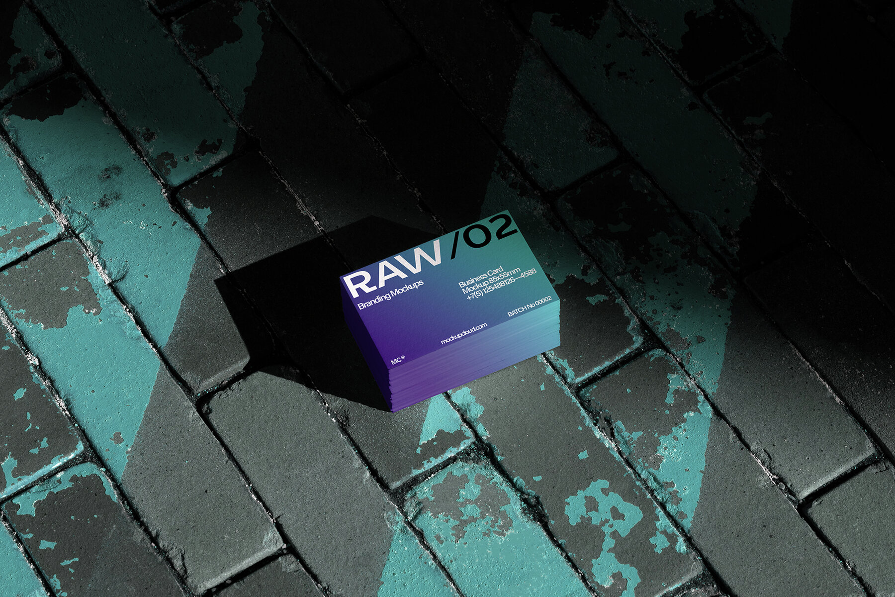 Business Cards Mockups RAW Series 2 14