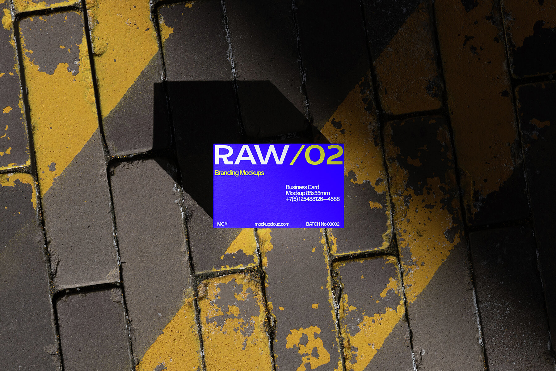 Business Cards Mockups RAW Series 2 15