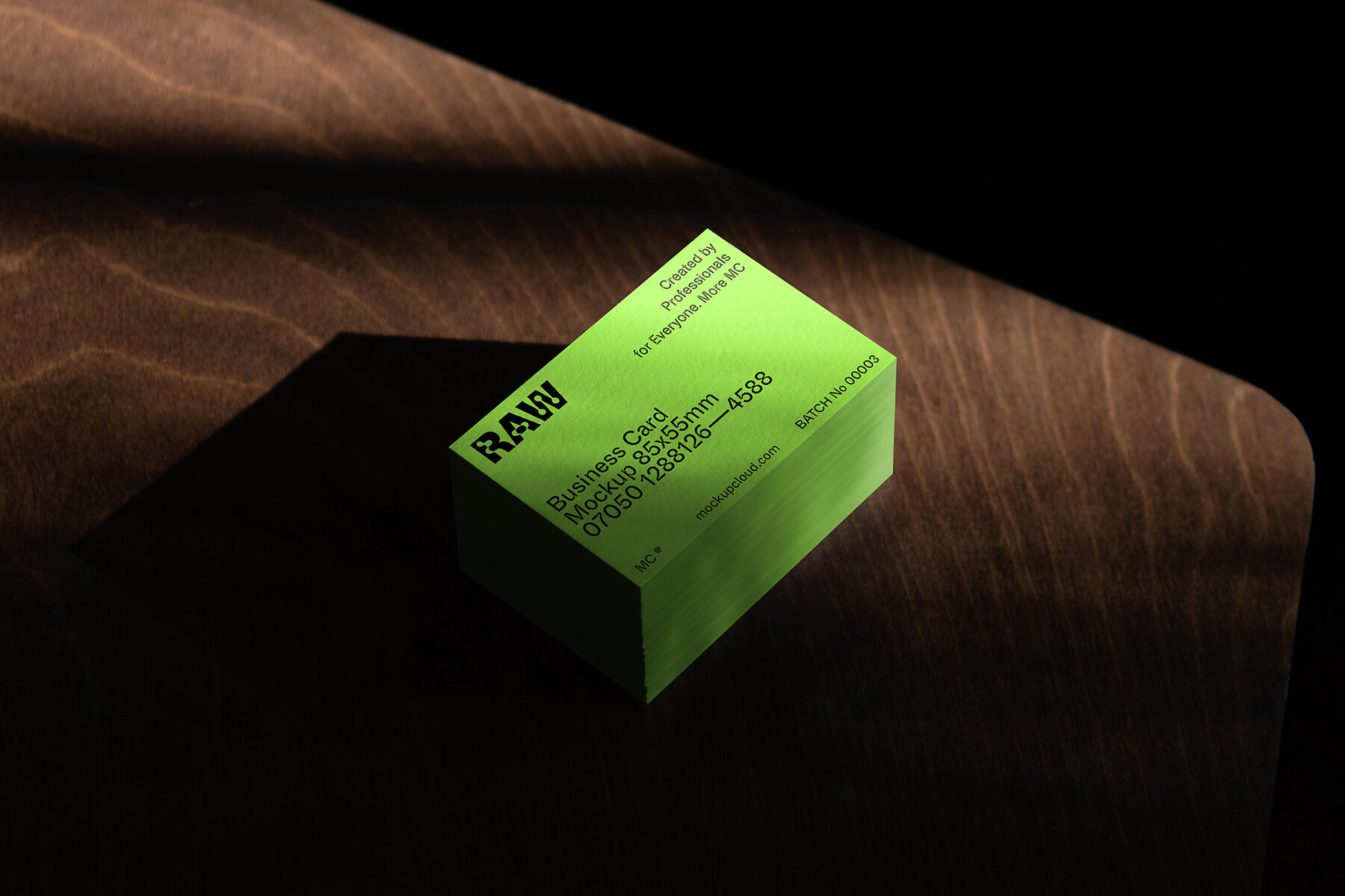 Branding Mockups RAW Series 1 2