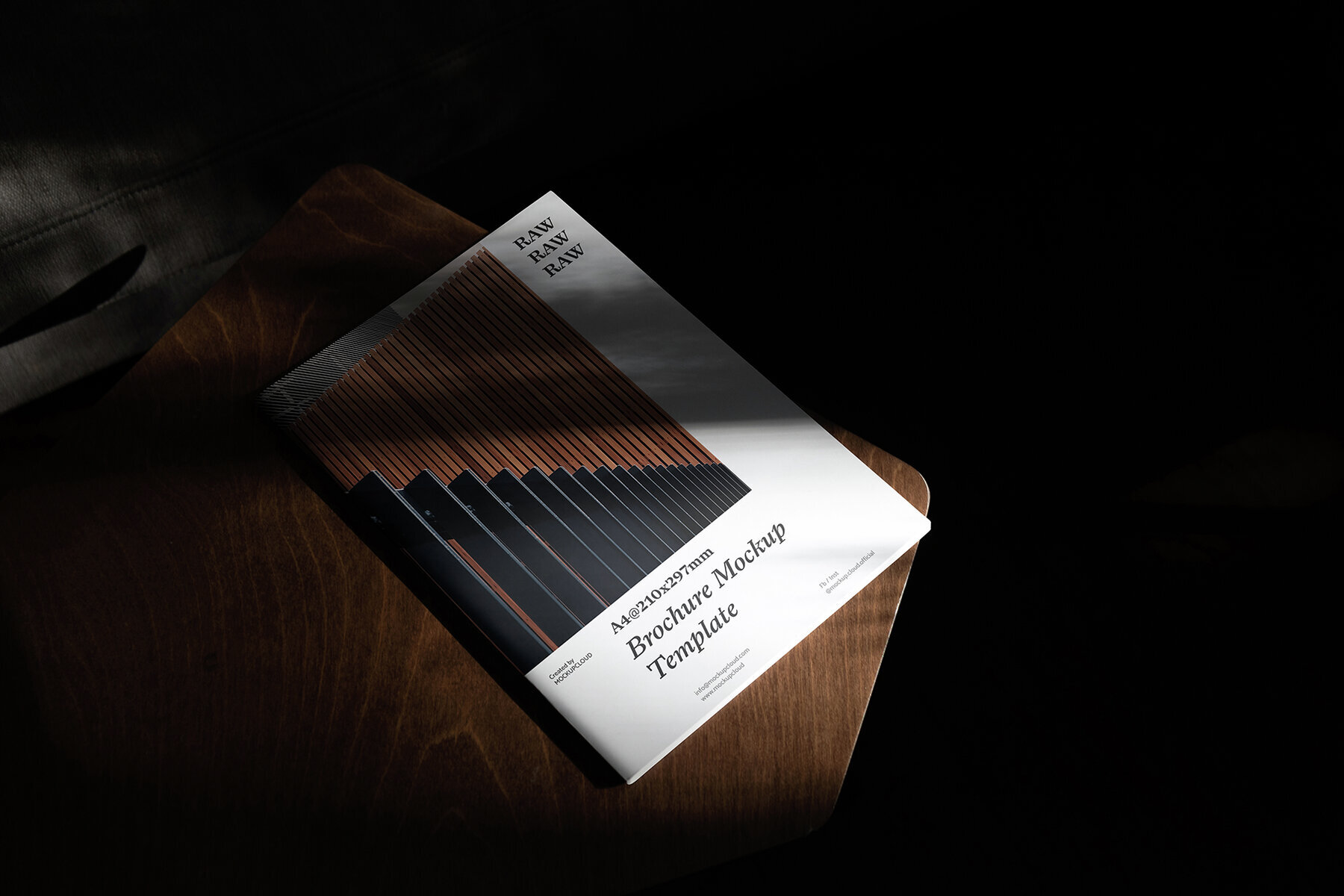 Branding Mockups RAW Series 1 3