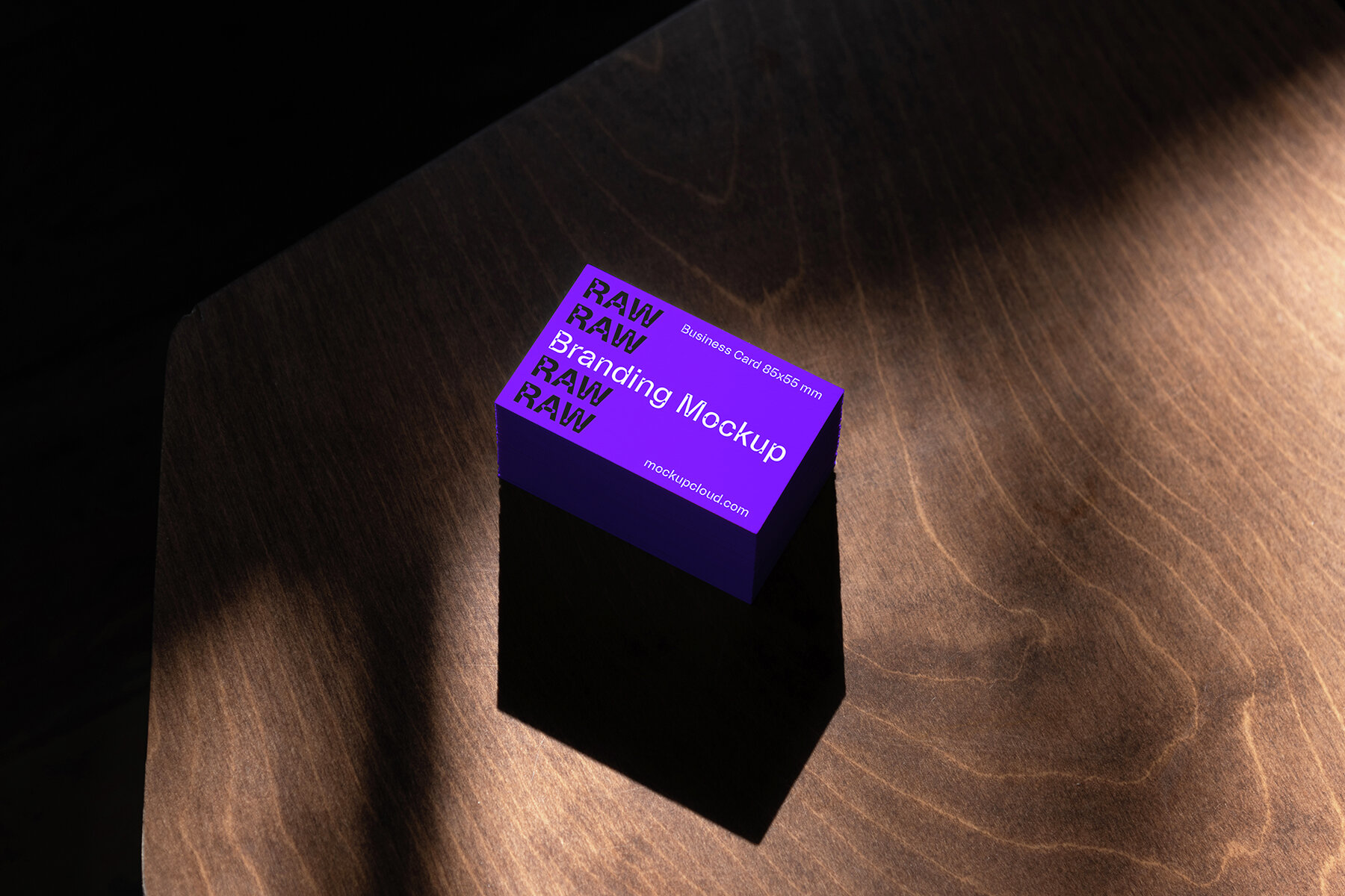 Branding Mockups RAW Series 1 7