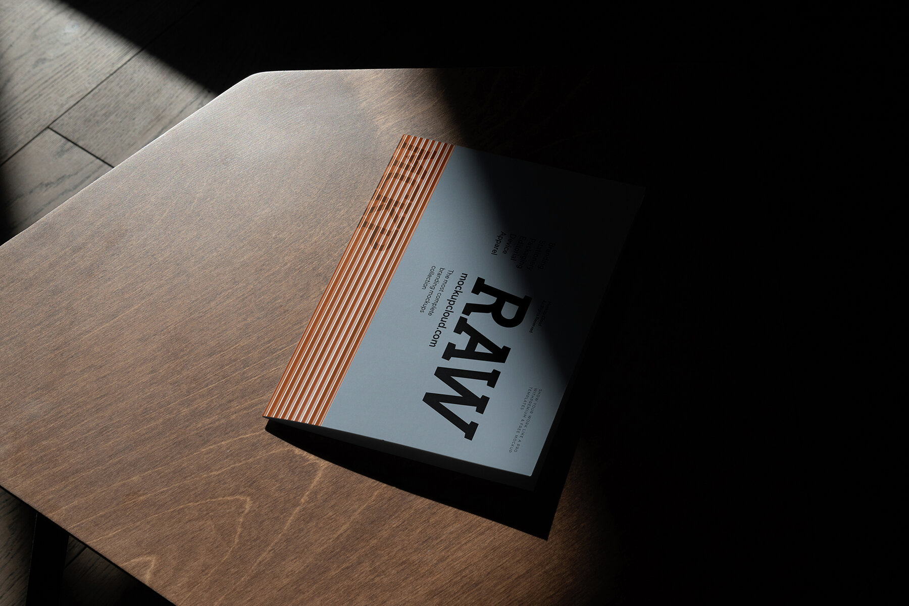 Branding Mockups RAW Series 1 11