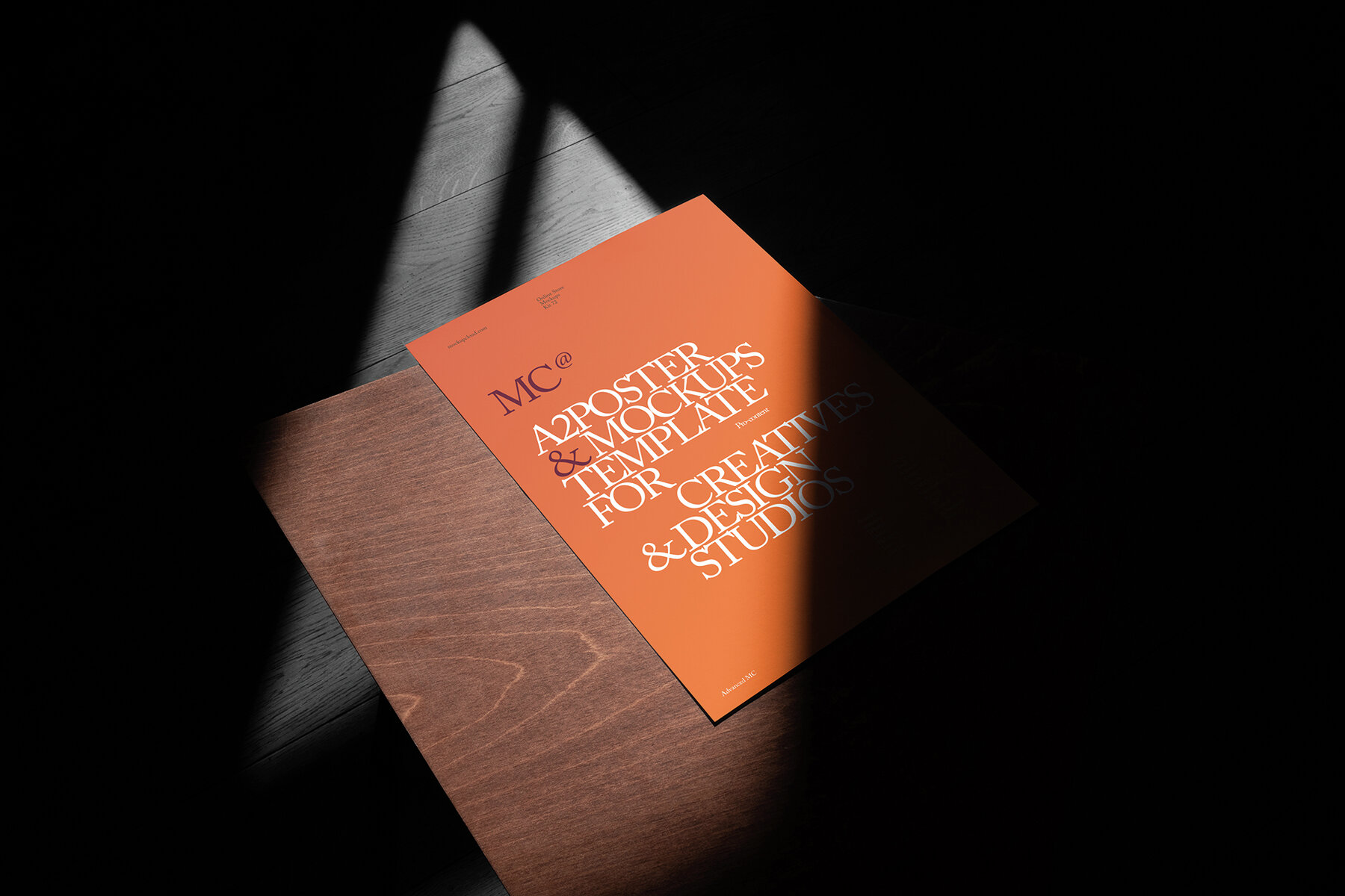 Branding Mockups RAW Series 1 12