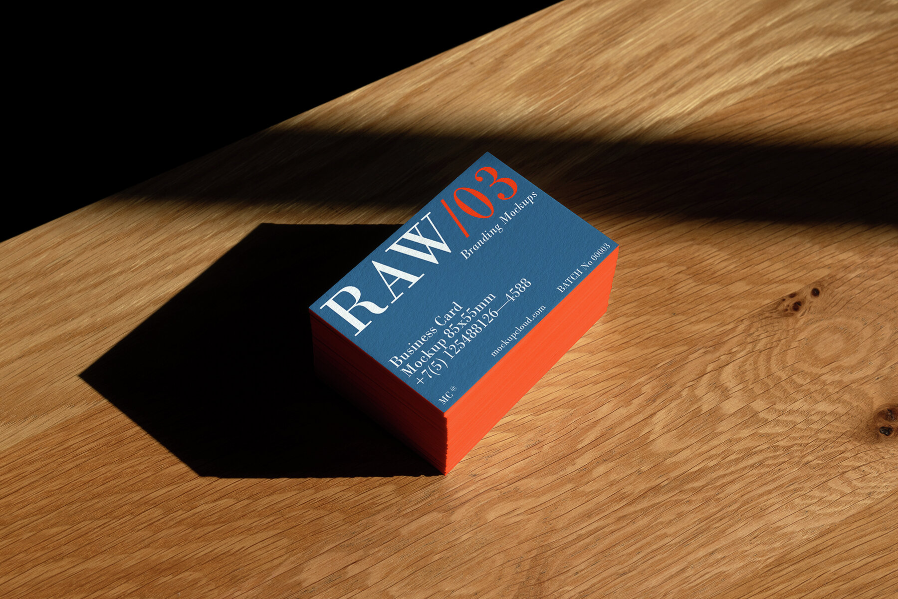 Branding Mockups RAW Series 1 16