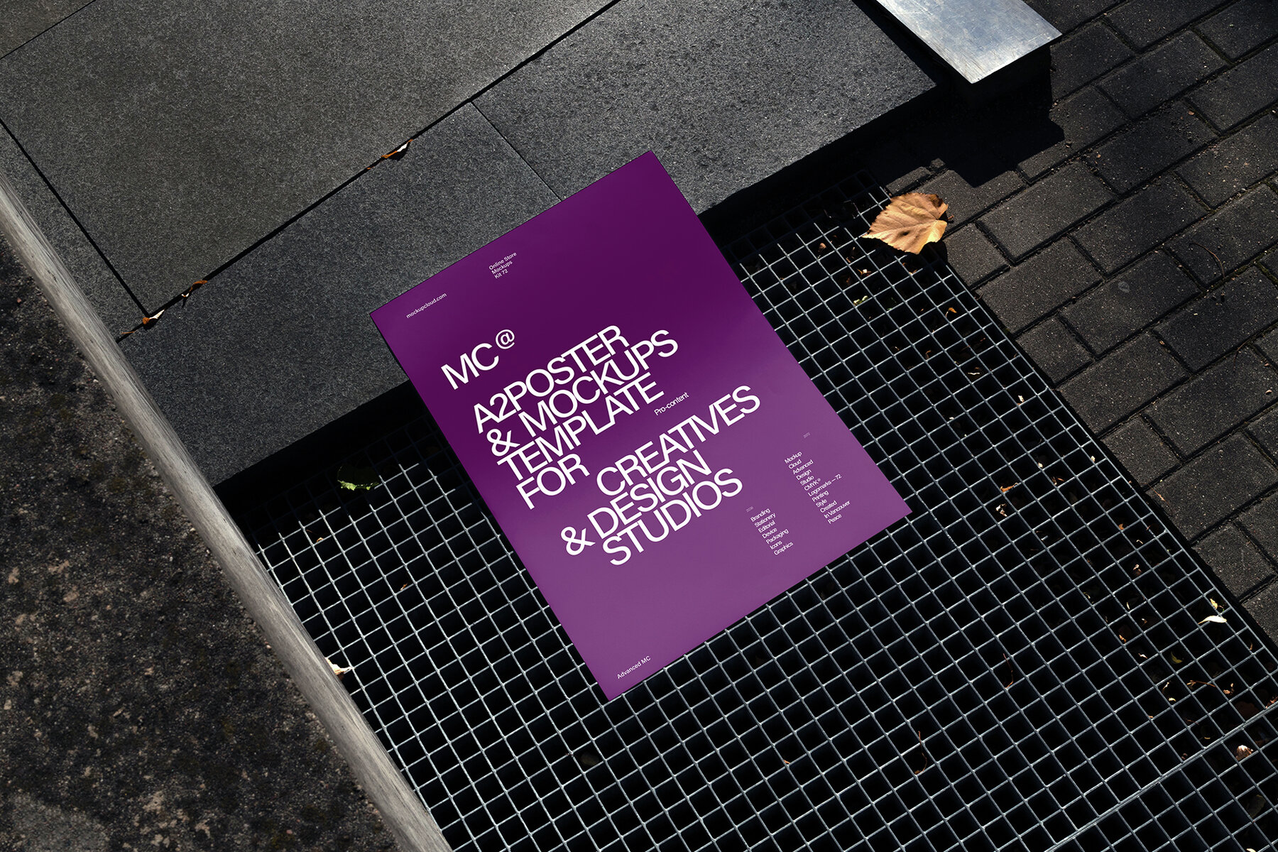 Posters Mockups RAW Series 2 4