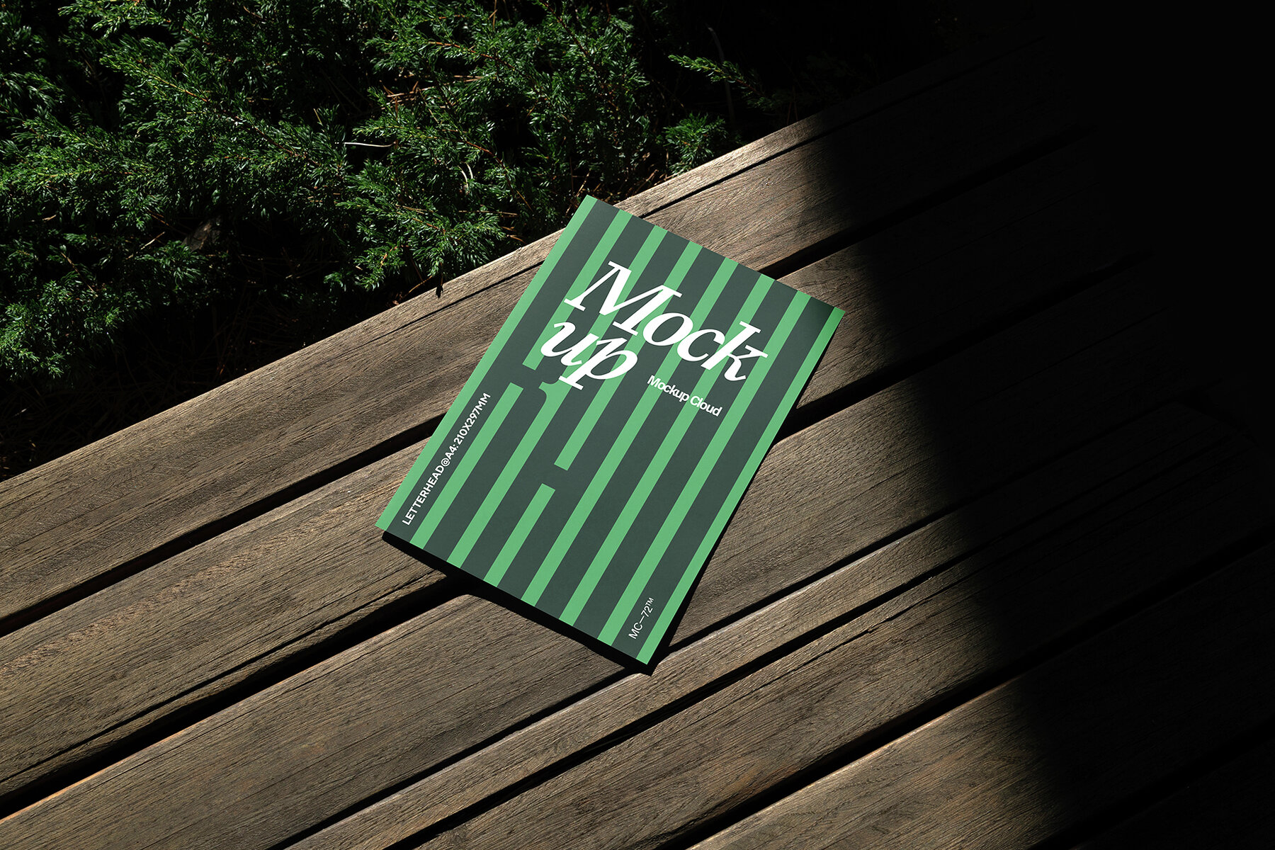 Posters Mockups RAW Series 2 12