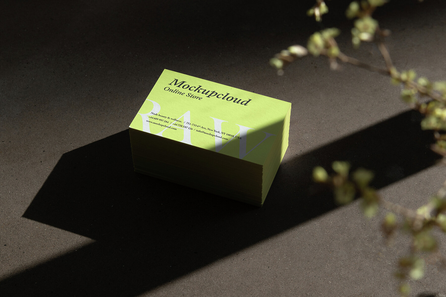 Branding Mockups RAW Series 2 2