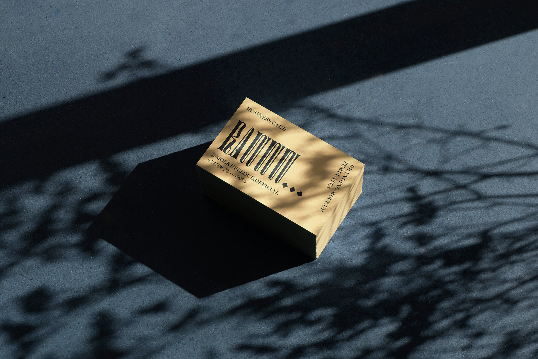 Branding Mockups RAW Series 2 3