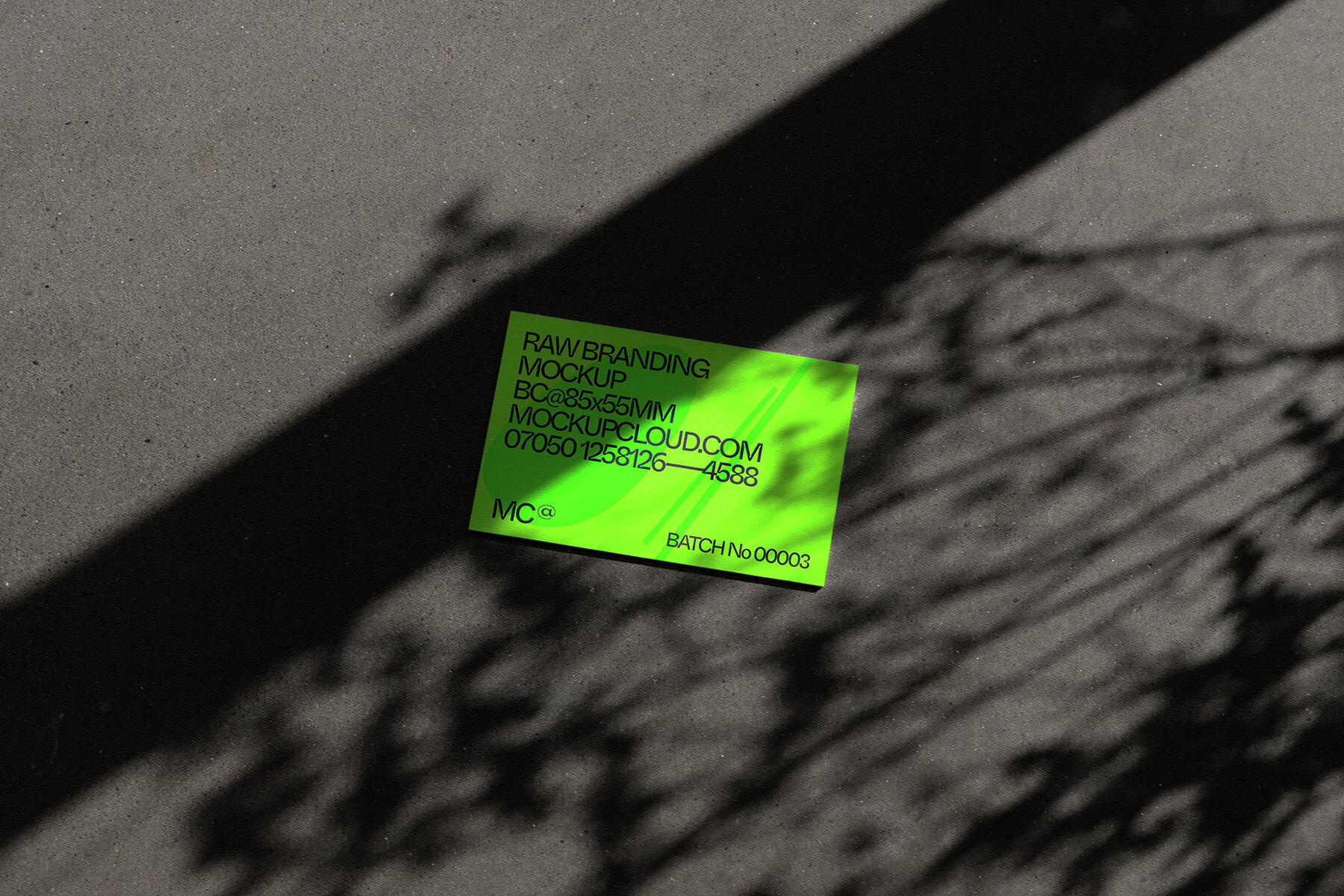 Branding Mockups RAW Series 2 4