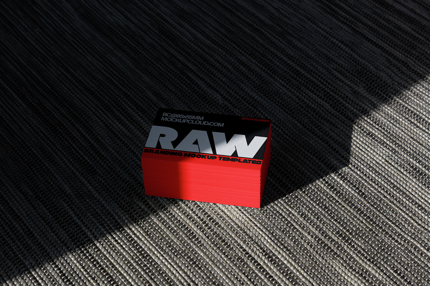 Branding Mockups RAW Series 2 9