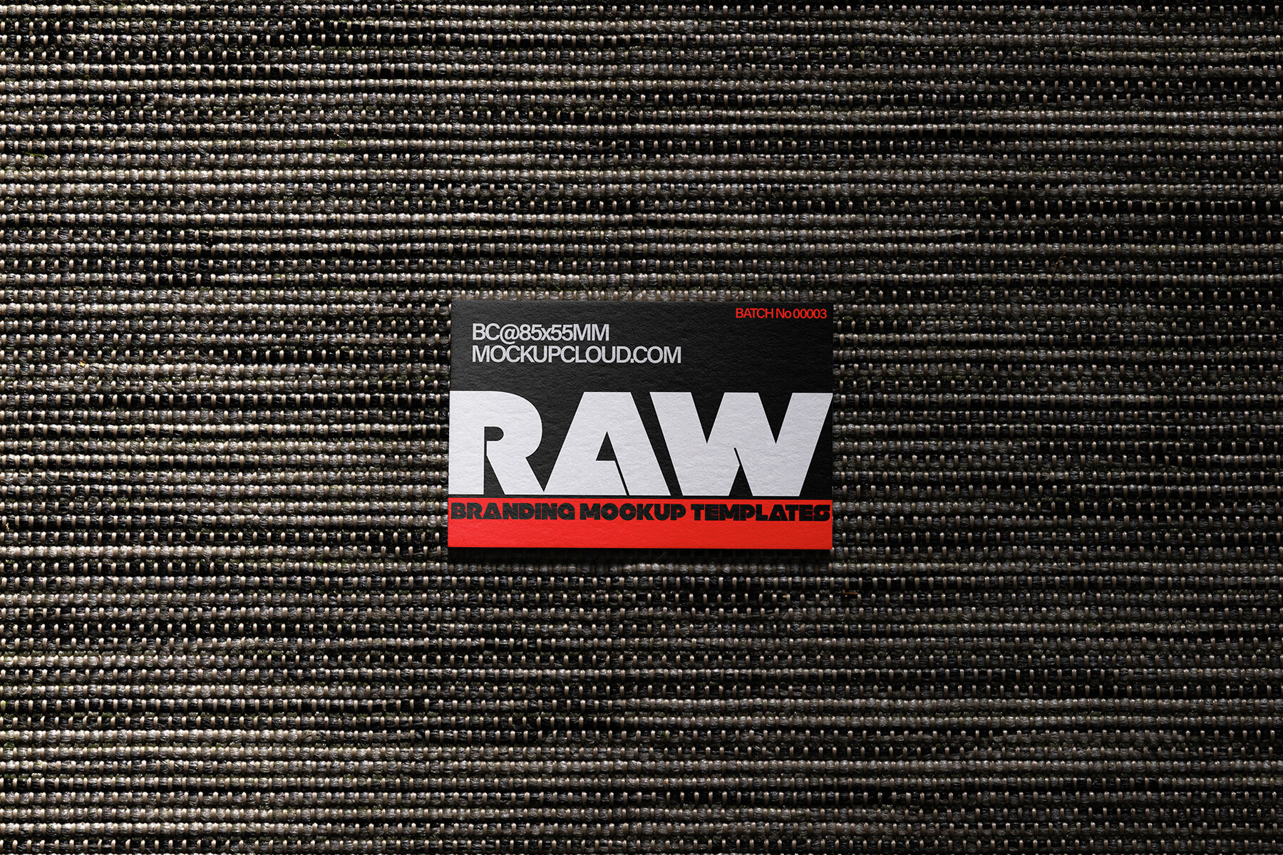 Branding Mockups RAW Series 2 10