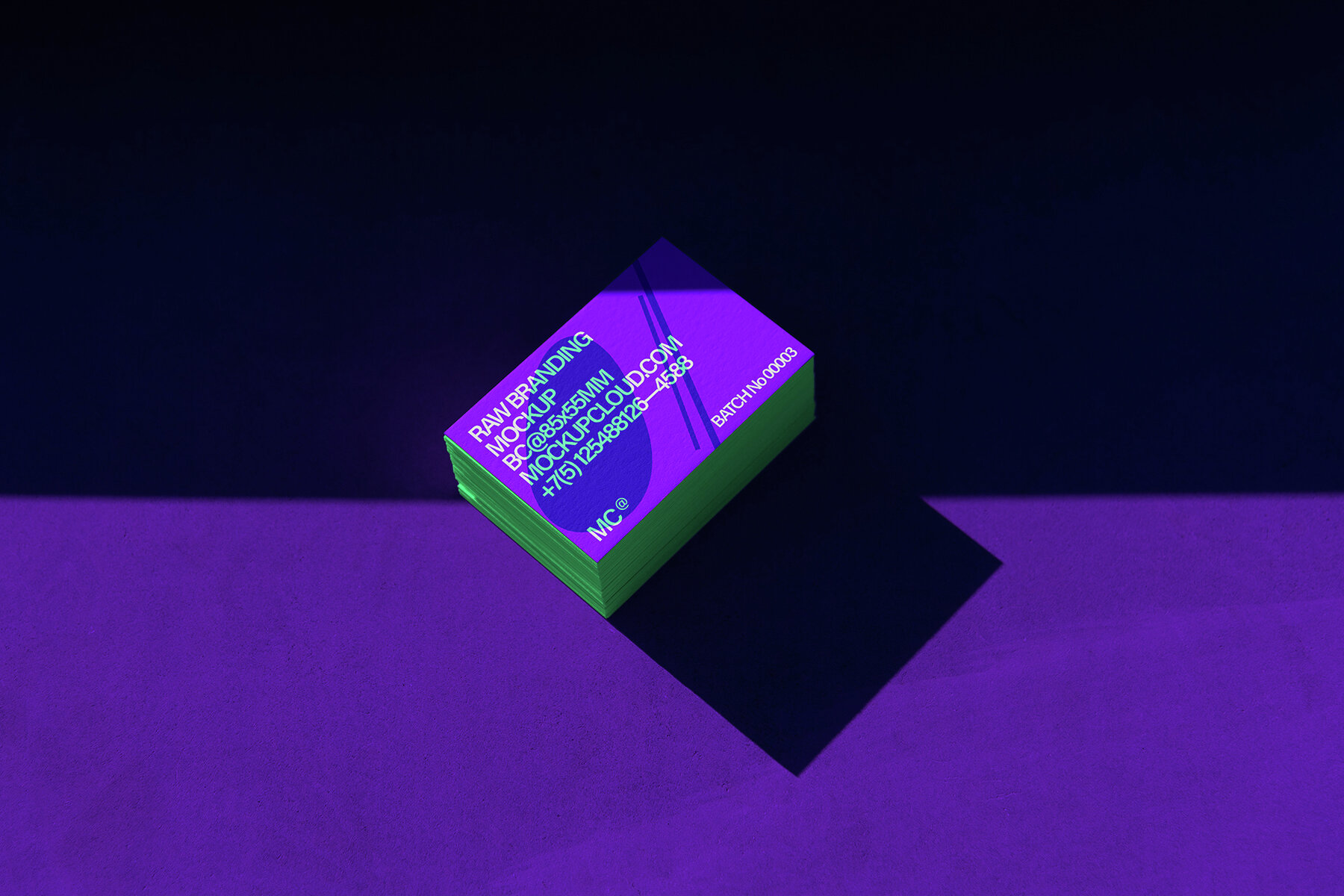 Branding Mockups RAW Series 2 11