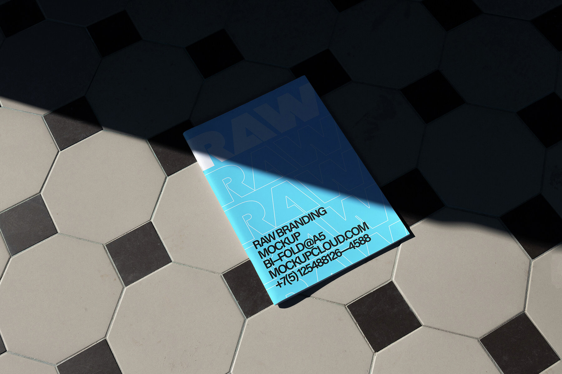 Branding Mockups RAW Series 2 13