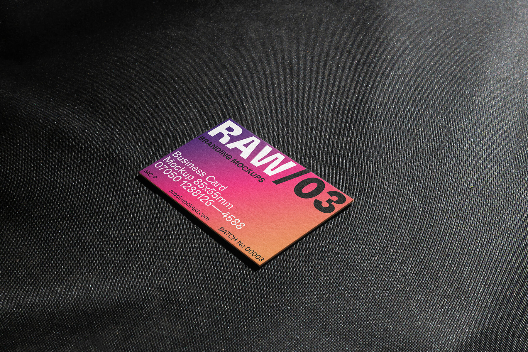 Branding Mockups RAW Series 2 14