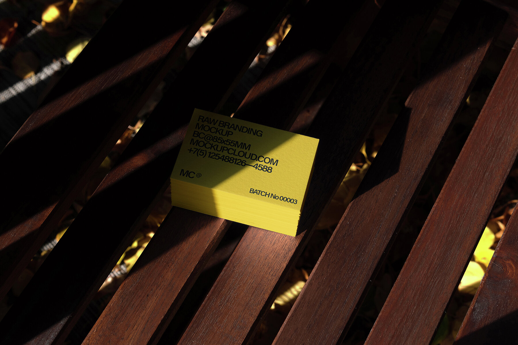 Branding Mockups RAW Series 2 16