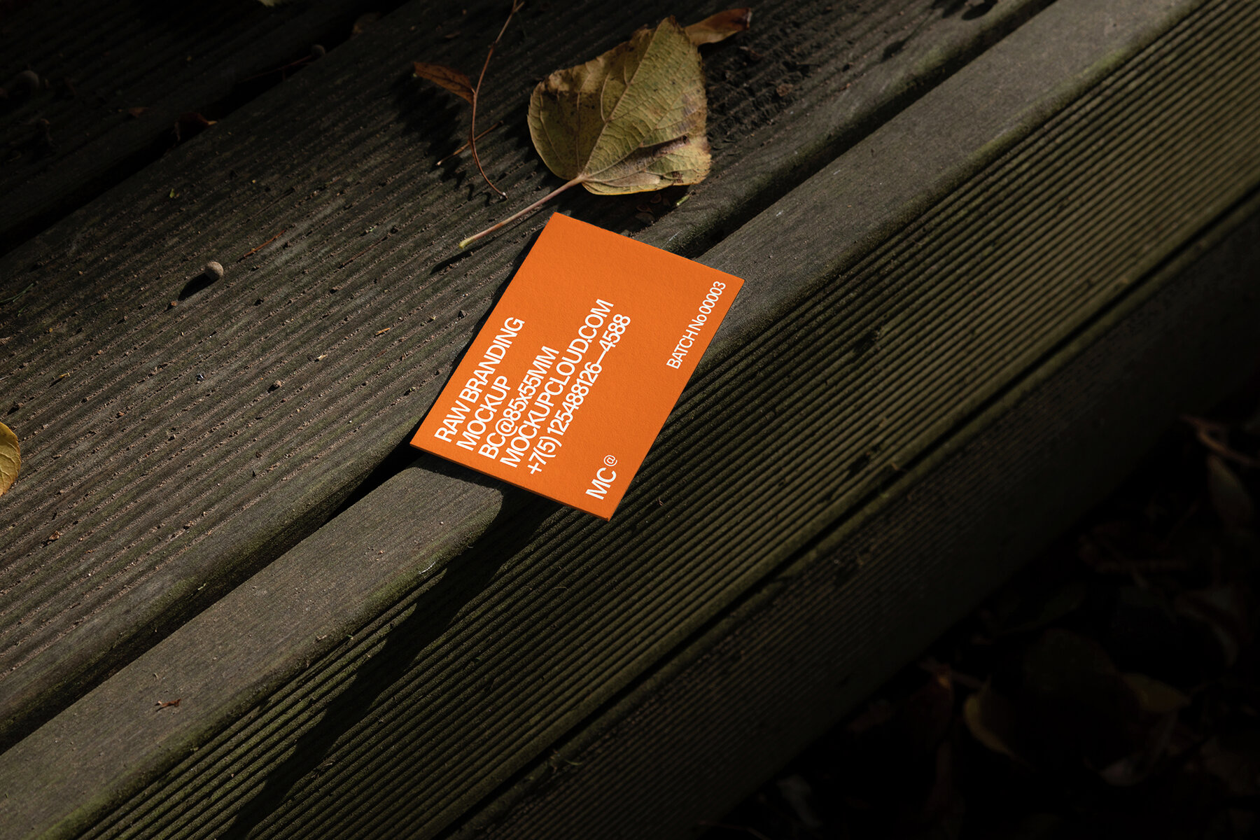 Branding Mockups RAW Series 2 17