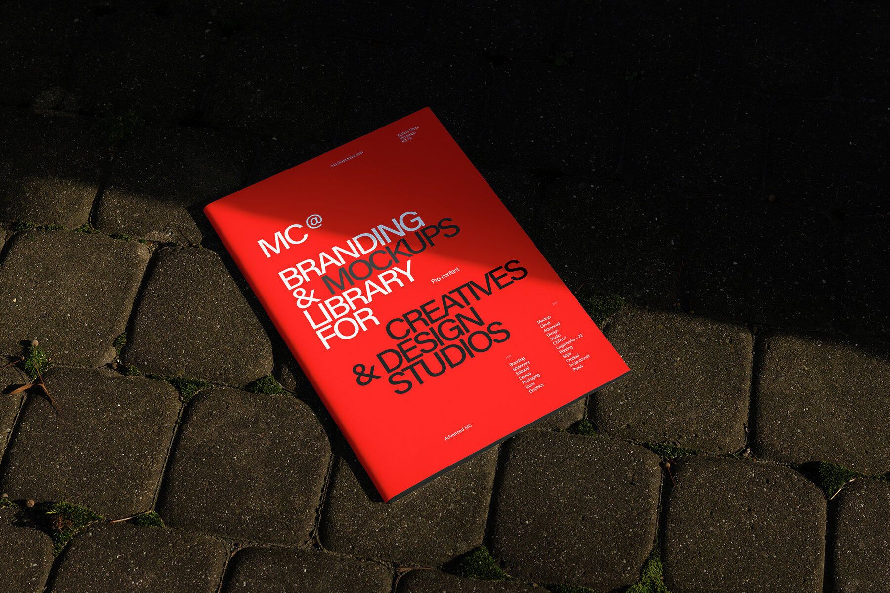 Branding Mockups RAW Series 2 18