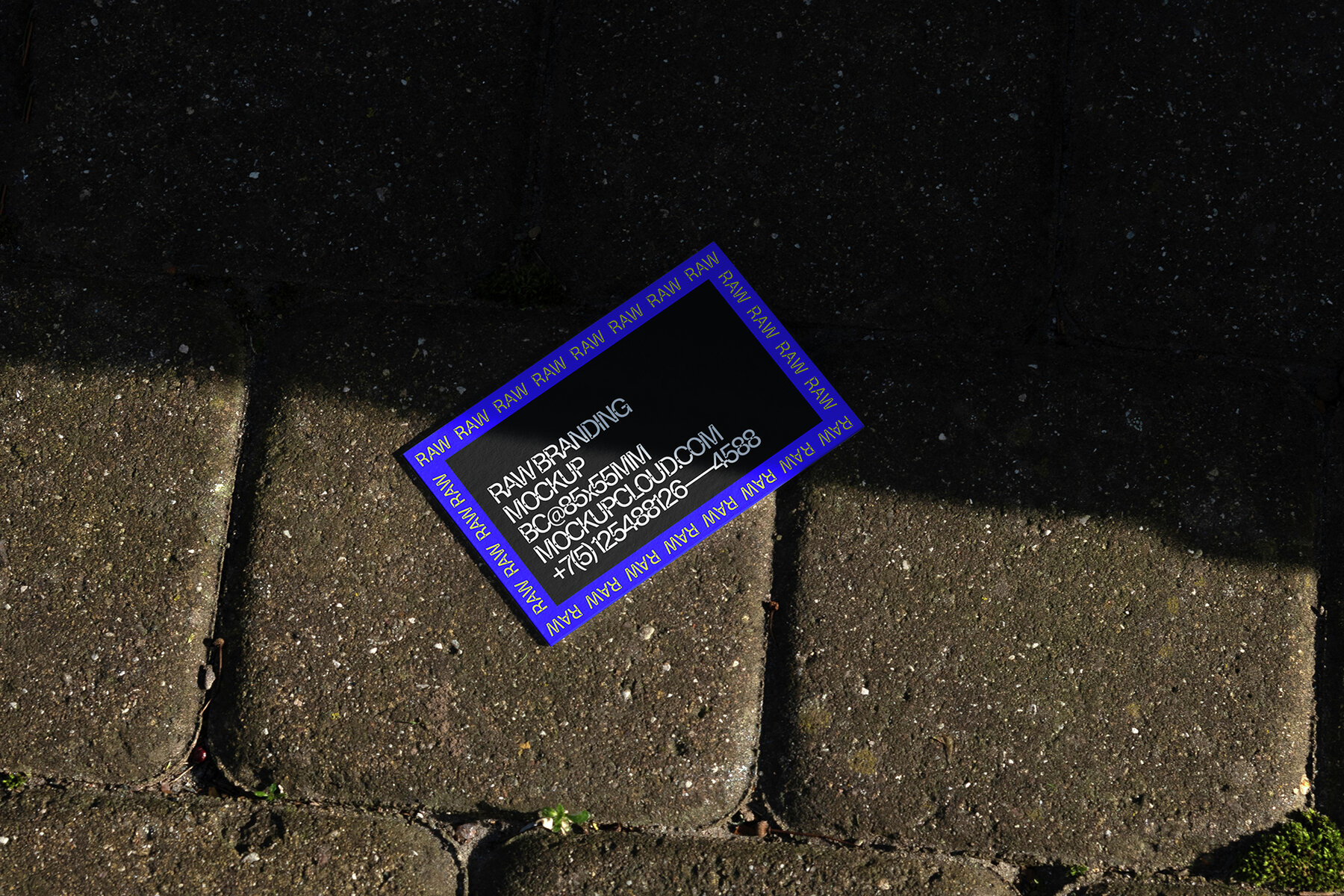 Branding Mockups RAW Series 2 19