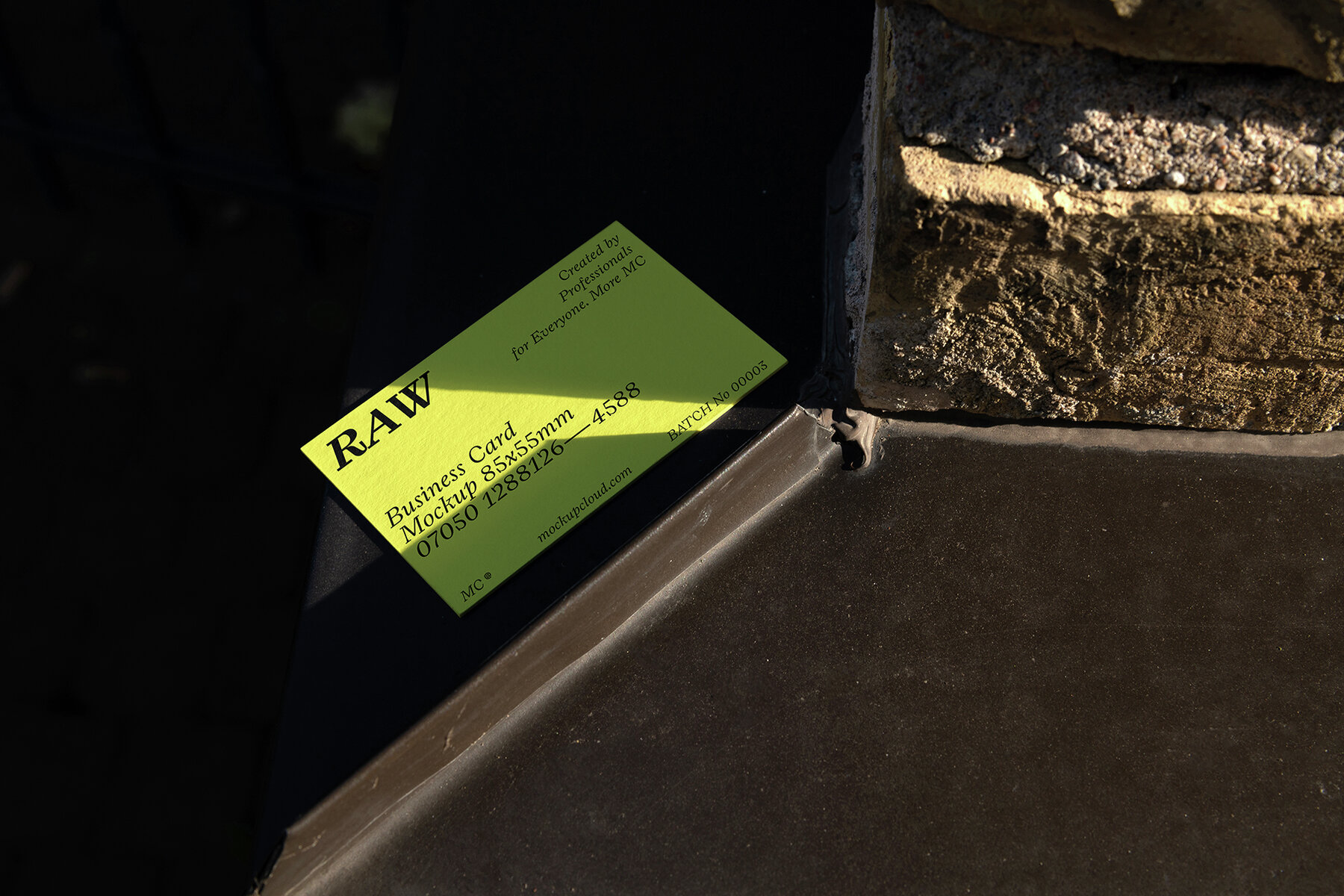 Branding Mockups RAW Series 2 20