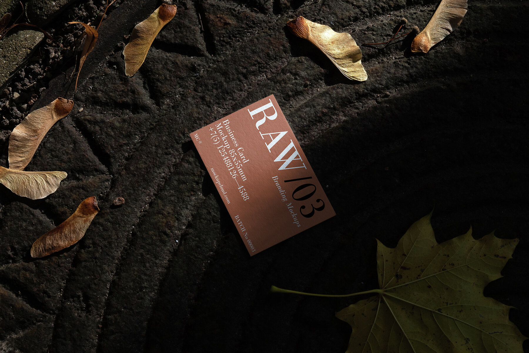 Branding Mockups RAW Series 2 21