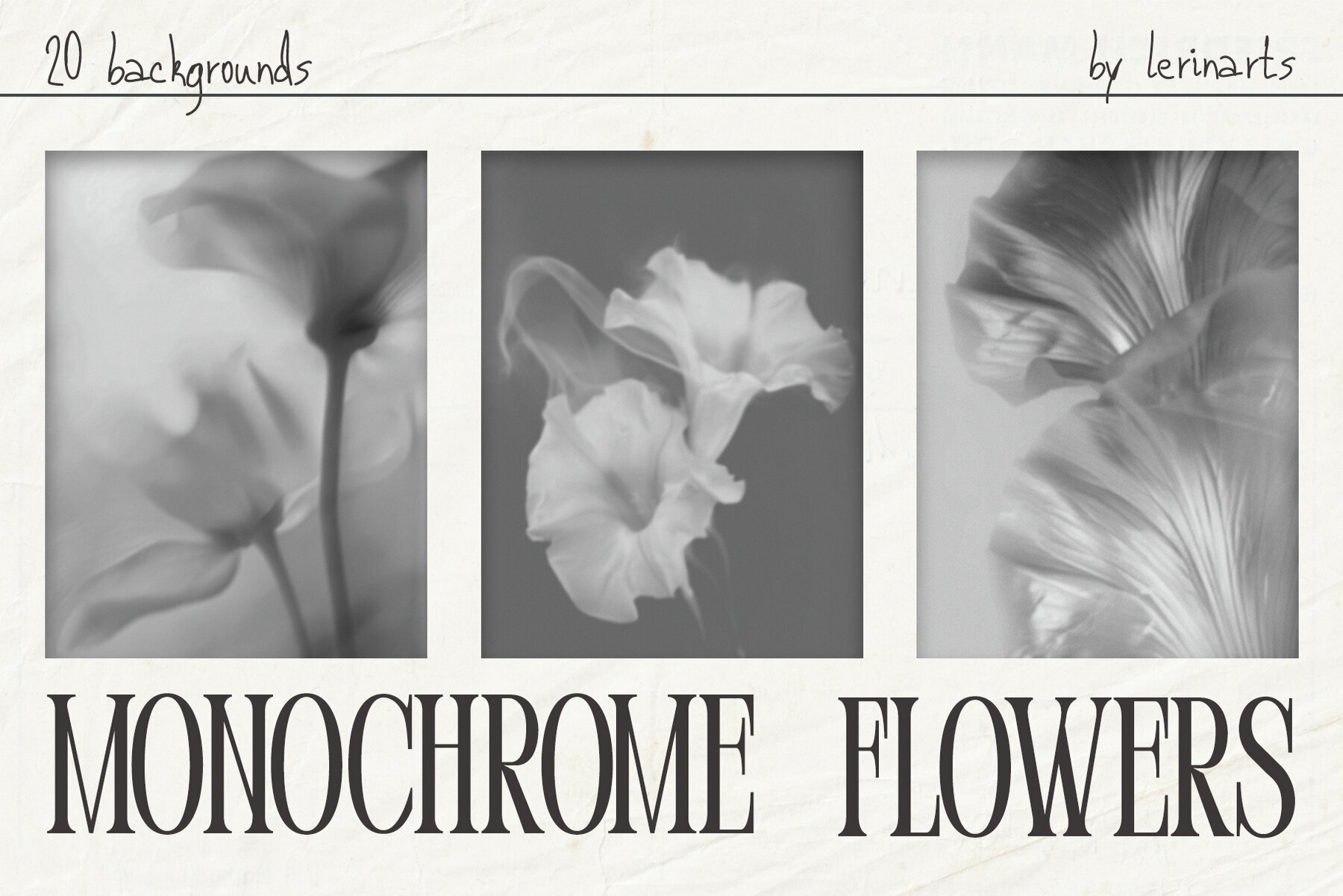 Monochrome FLOWERS 1