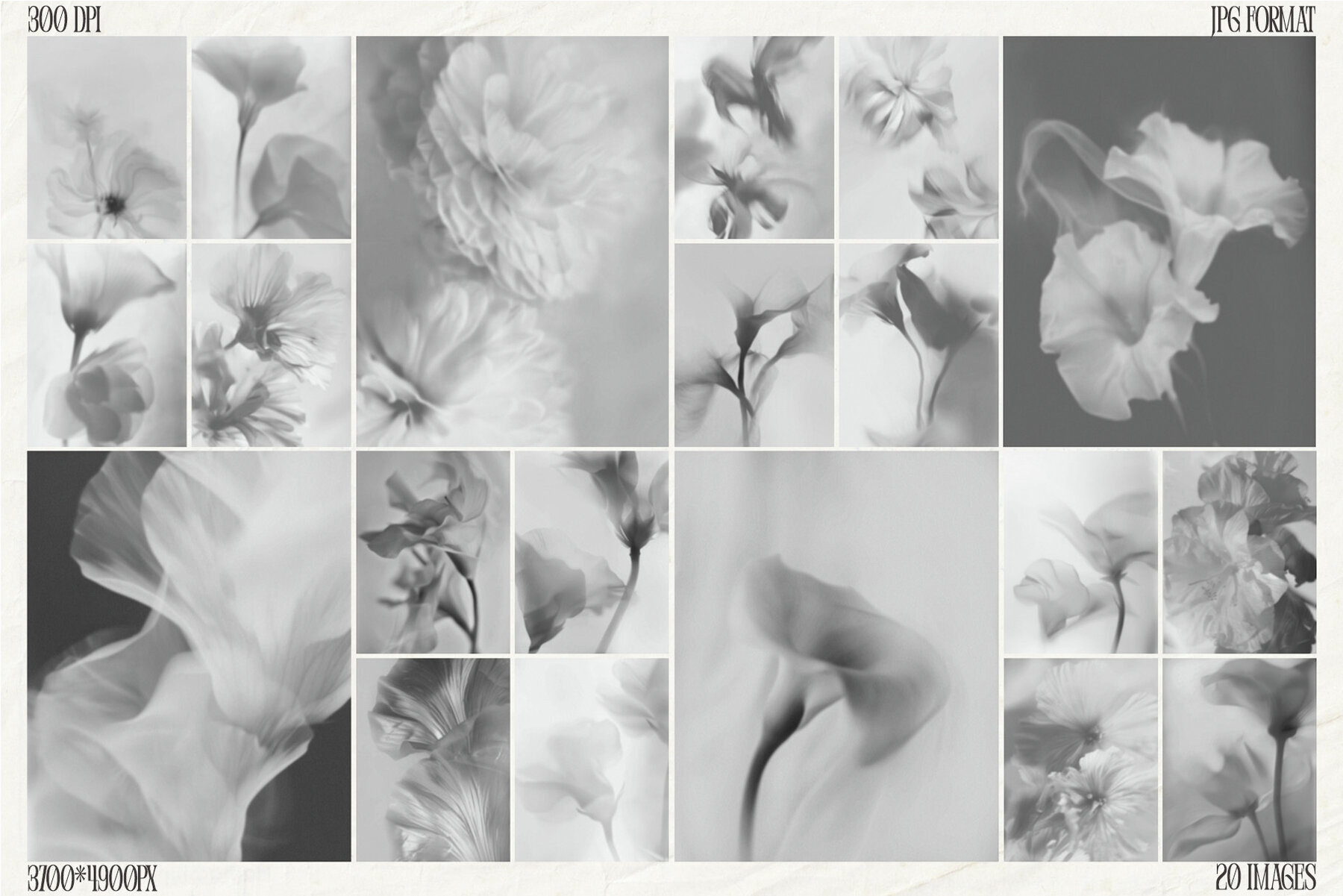 Monochrome FLOWERS 3