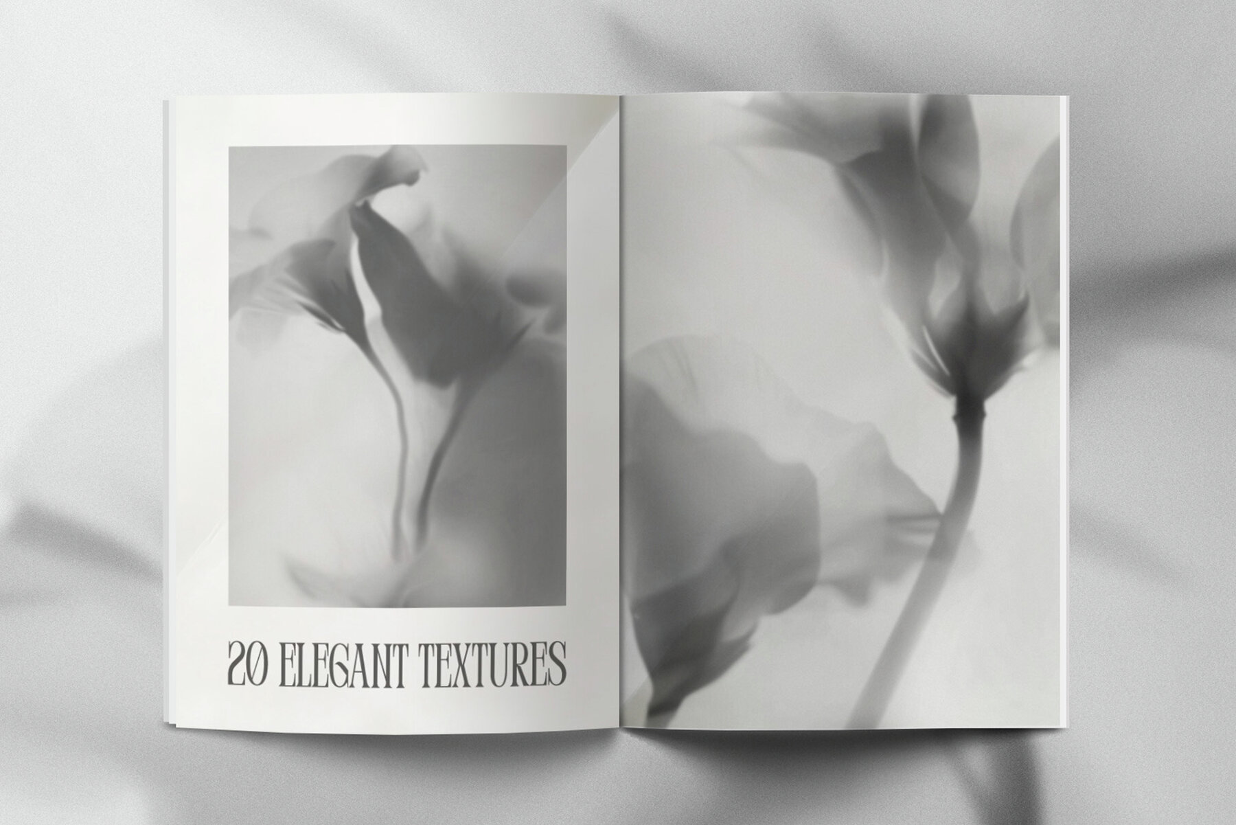 Monochrome FLOWERS 6