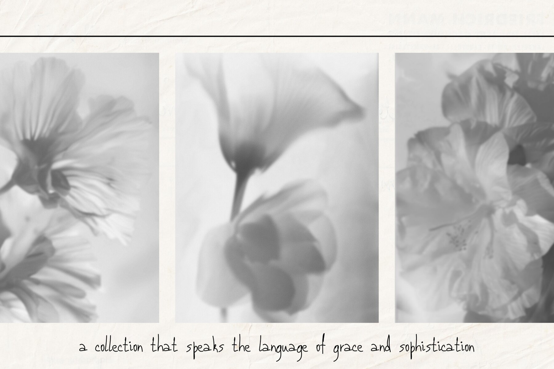 Monochrome FLOWERS 7