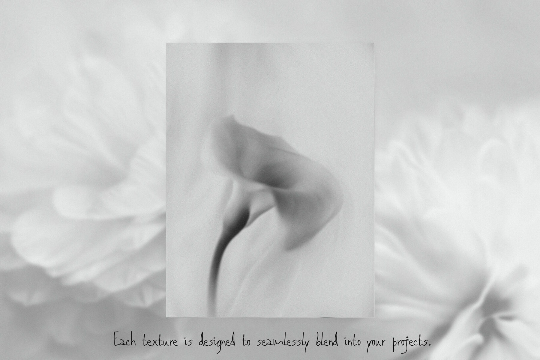 Monochrome FLOWERS 10