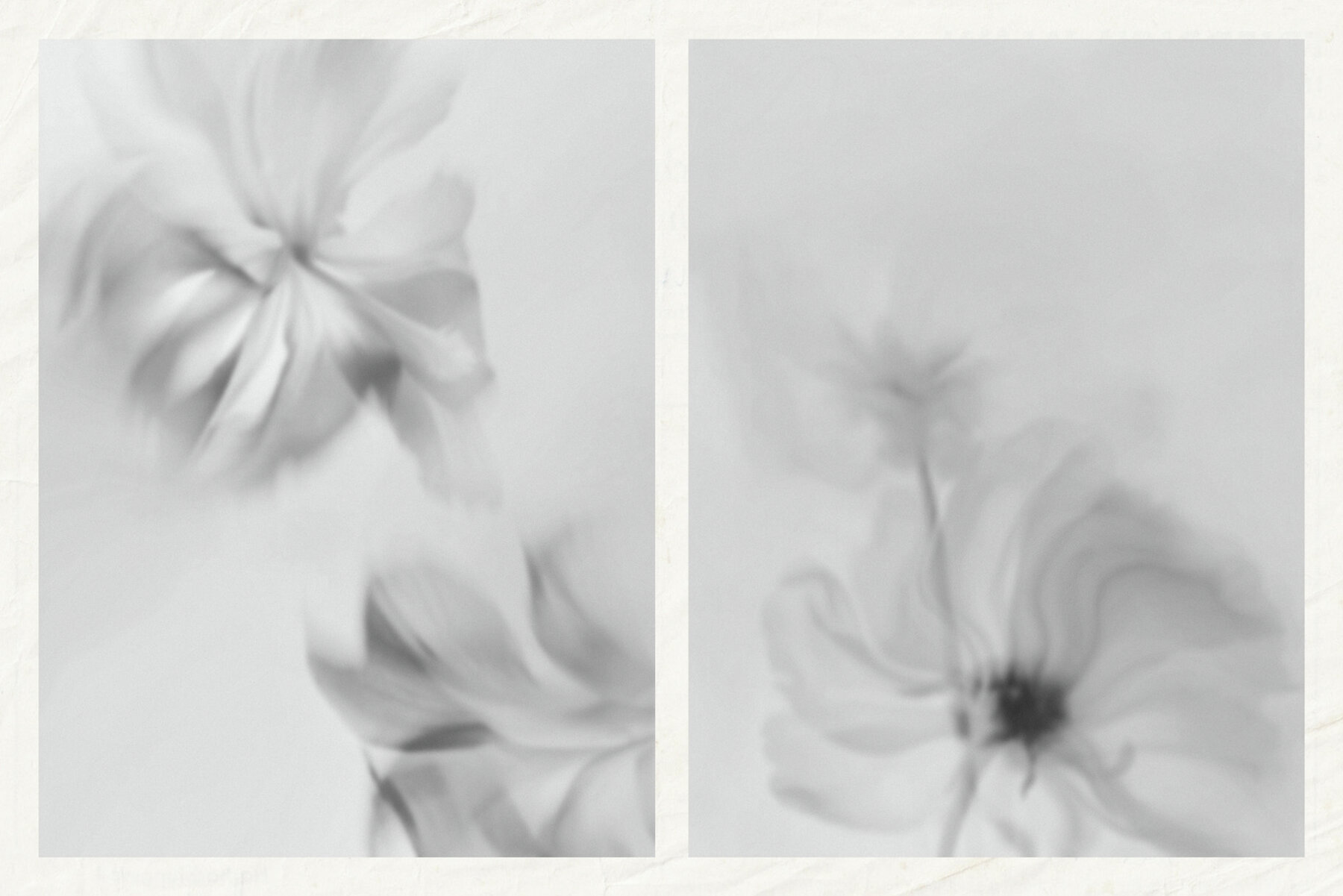 Monochrome FLOWERS 11