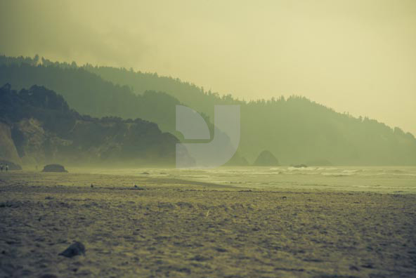 Beach Beach