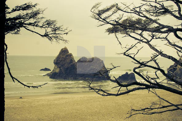 Beach Beach