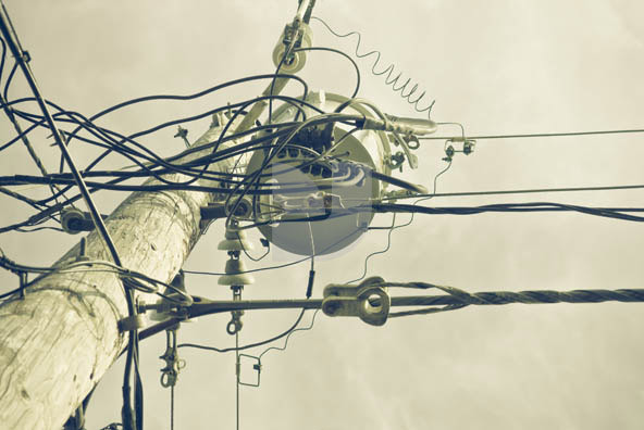 Birds Wire Birds Wire