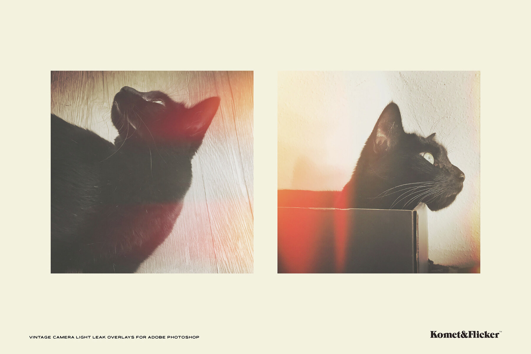 Vintage Camera Light Leak Overlays for Photoshop 4