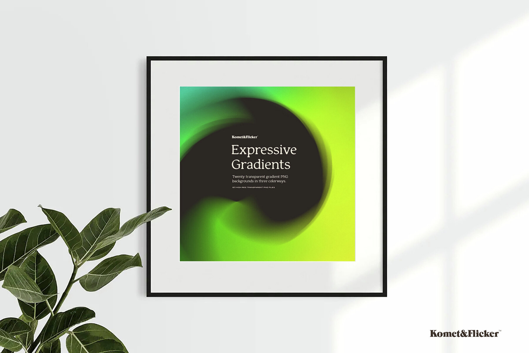 Expressive Gradients 13