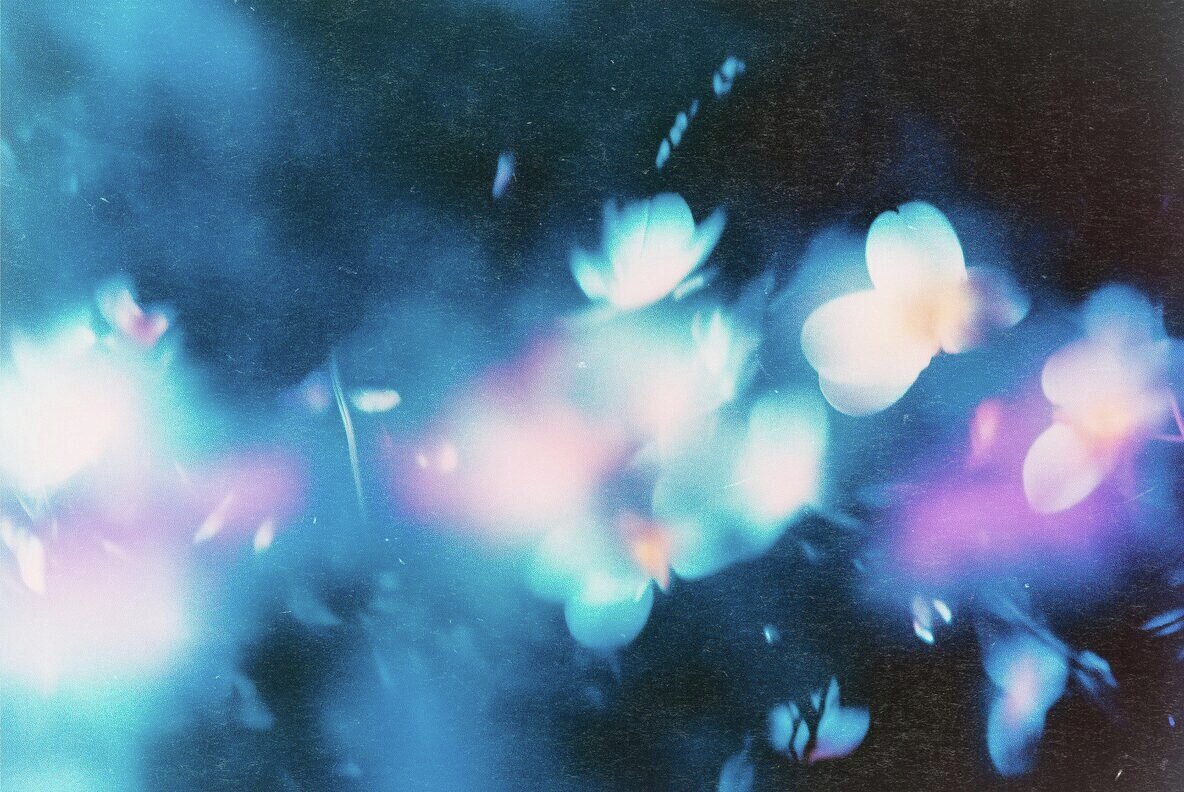 Abstract Floral Backgrounds 3