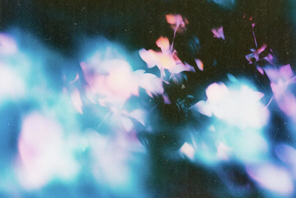 Abstract Floral Backgrounds 4