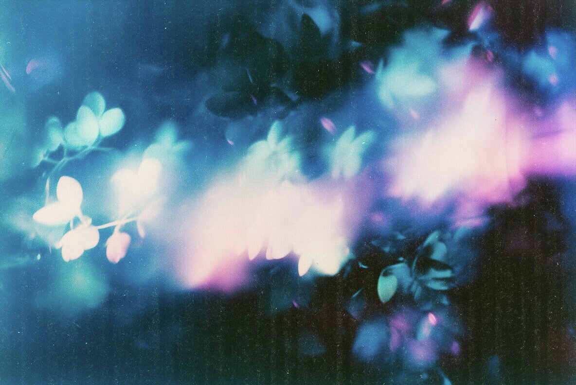 Abstract Floral Backgrounds 5