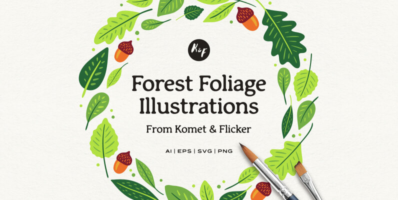 Forest Foliage Illustrations
