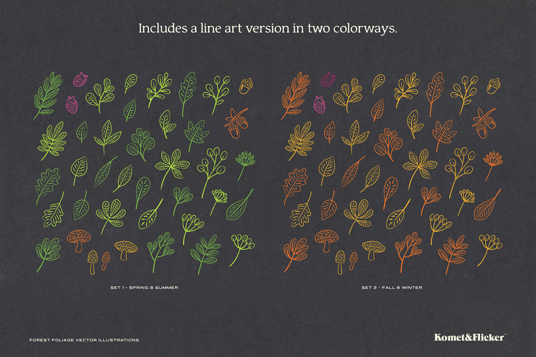 Forest Foliage Illustrations 6