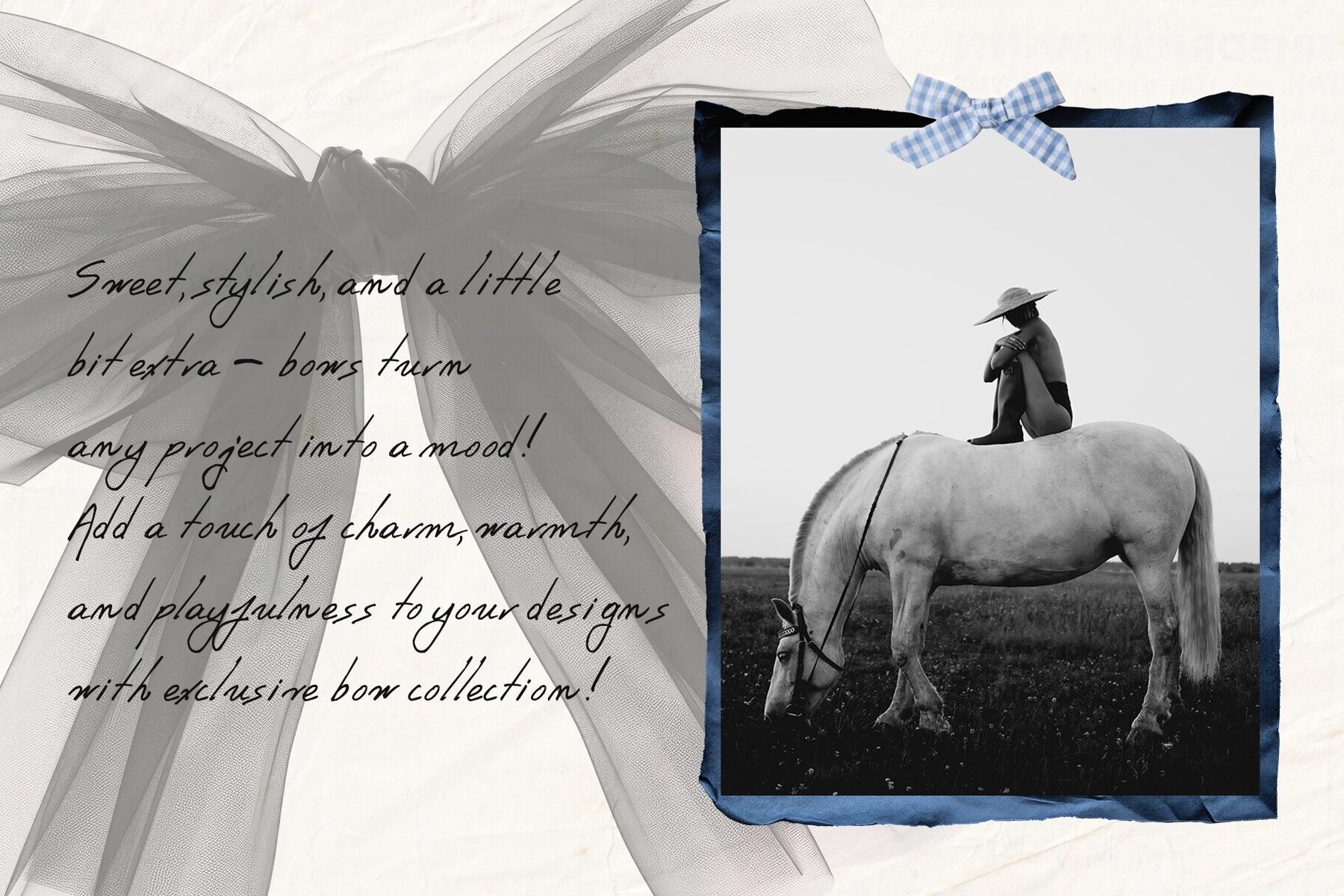 Mixed Bows Collection Cut Out   Draw 5