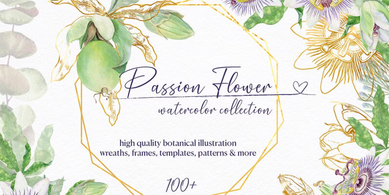 Passion Flower Watercolor Collection