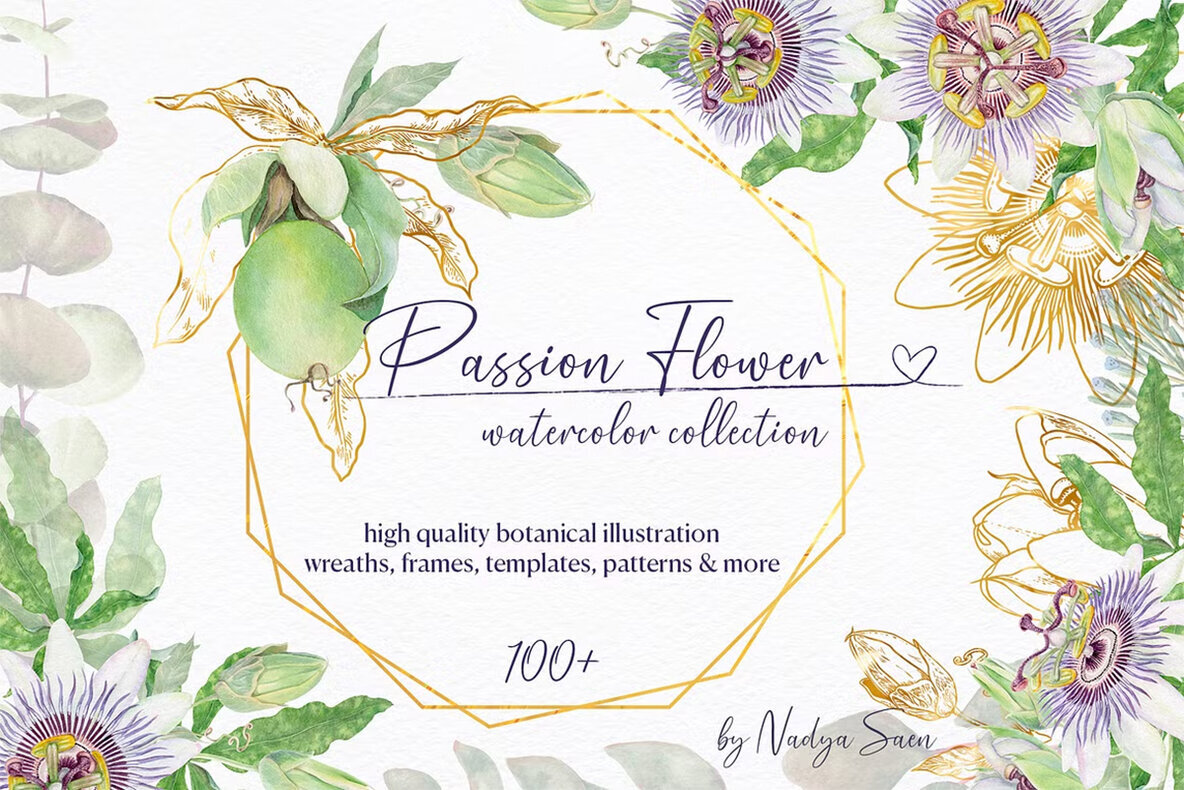Passion Flower Watercolor Collection 1