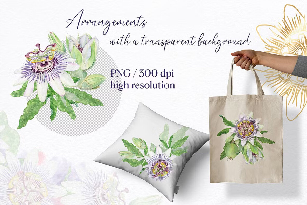 Passion Flower Watercolor Collection 3