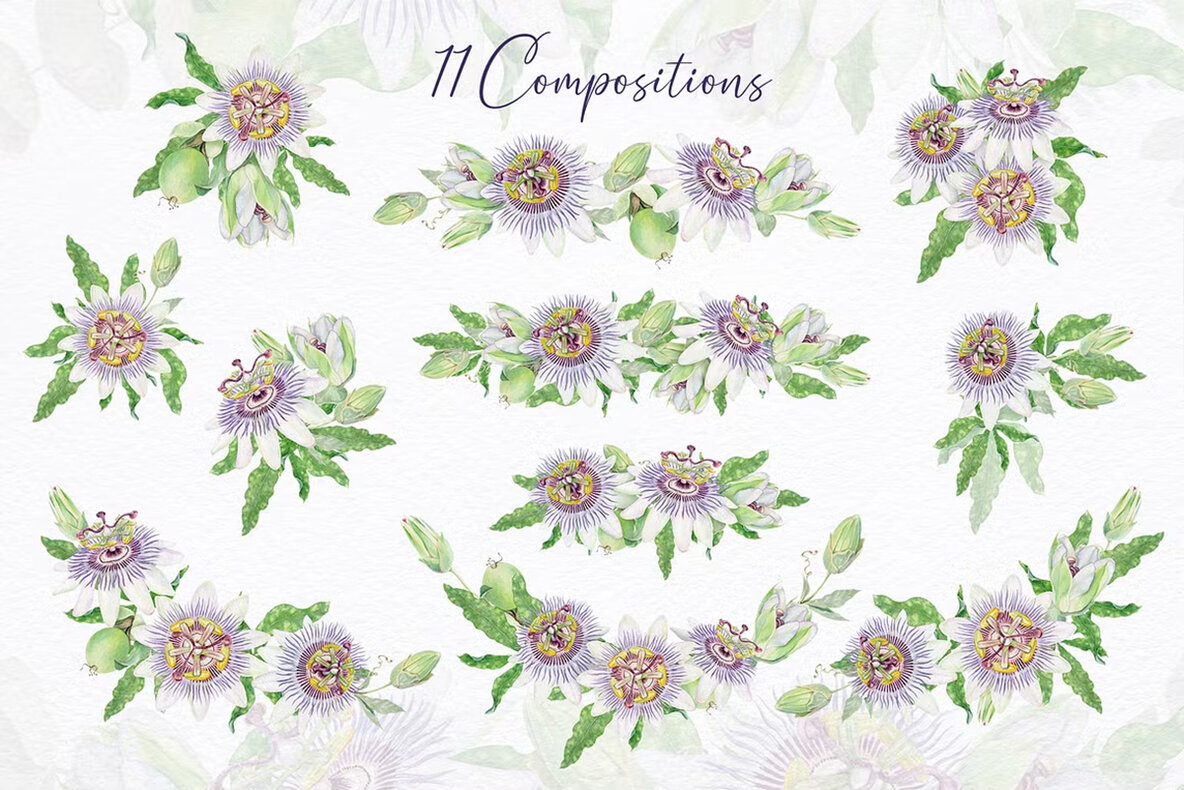 Passion Flower Watercolor Collection 4