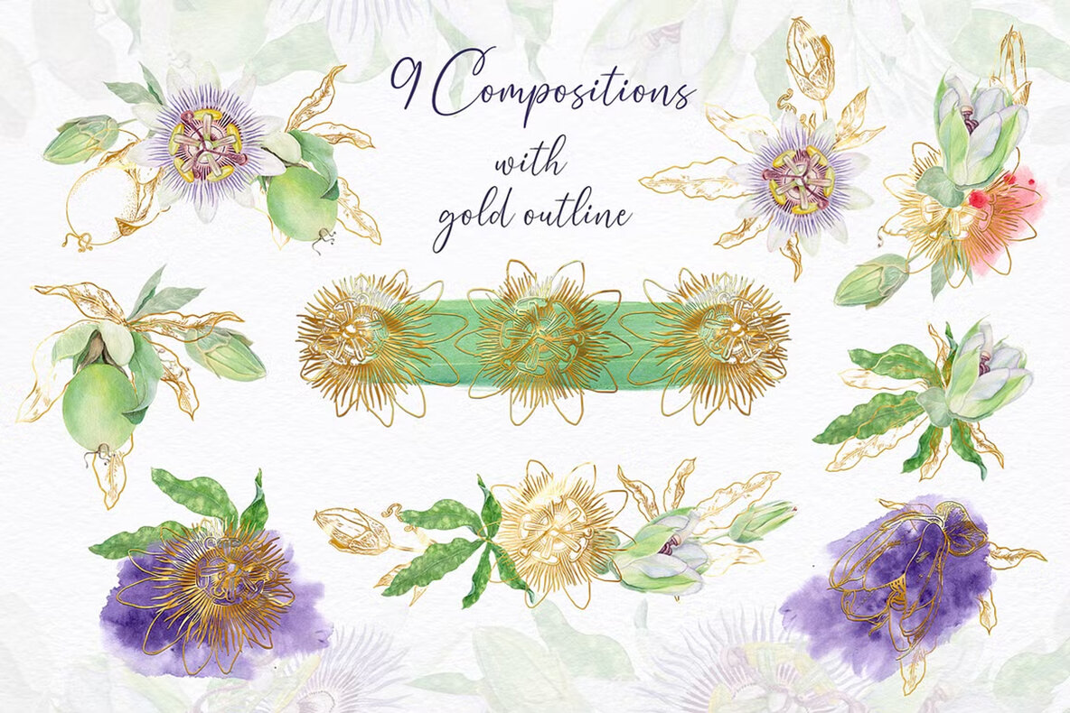 Passion Flower Watercolor Collection 6